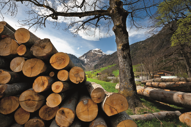 Holzenergie: Schallmauer von 5 Mio. Kubikmetern durchbrochen