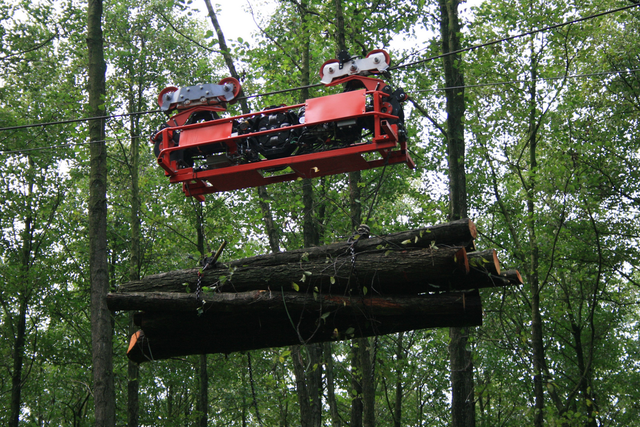 Praxistest bestanden: Flachlandseilkran transportiert Holz auf schwierigem Gelände besonders bodenschonend