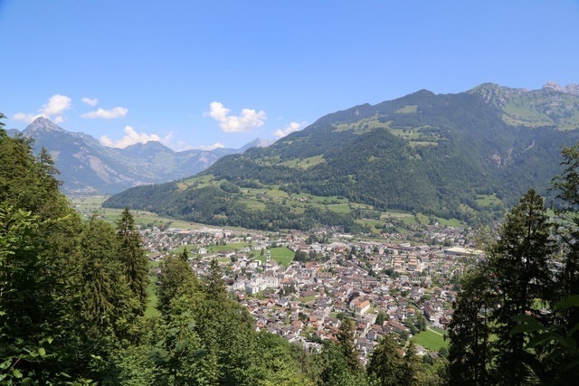 Holzenergie Schweiz: CO2-Gesetz – einmalige Chance für die Holzenergie