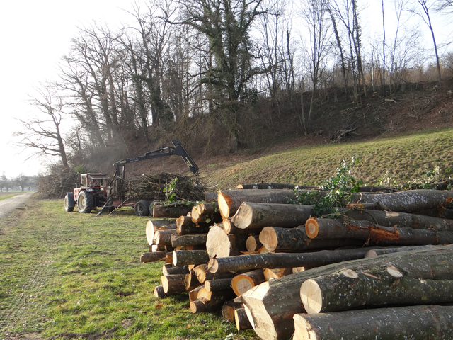 Energie-bois Suisse : Plus de bois-énergie inexploité qu’on ne croyait à l'exemple du canton de Soleure