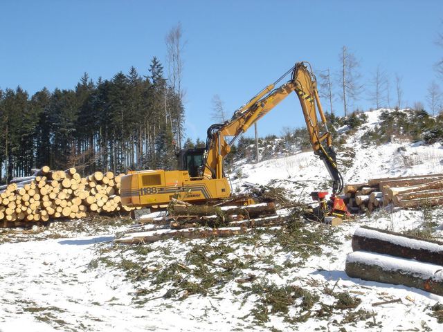 Task Force Wald + Holz + Energie: Rohholzverbraucher verhalten optimistisch