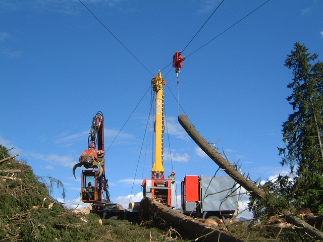 Task Force Forêt + Bois + Energie : Mieux affronter le climat en réduisant les gros bois – financer le reboisement par un projet de puits de CO2 ?