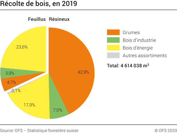 Statistique forestière suisse 2019 : Après une hausse exceptionnelle l'année précédente, la récolte de bois suisse a reculé de 11% en 2019