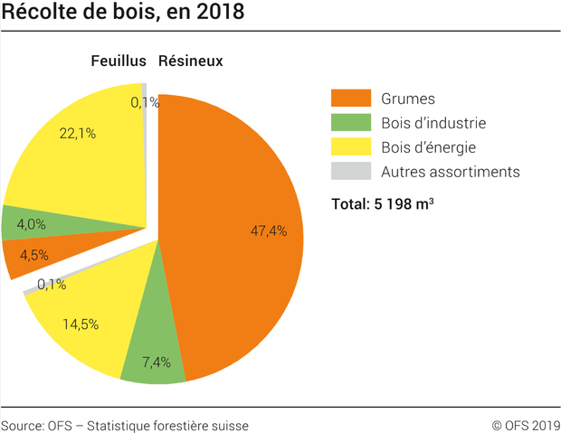 Statistique forestière suisse 2018 : Grosse récolte de bois en 2018 en conséquence du bostryche, de la sécheresse et des tempêtes
