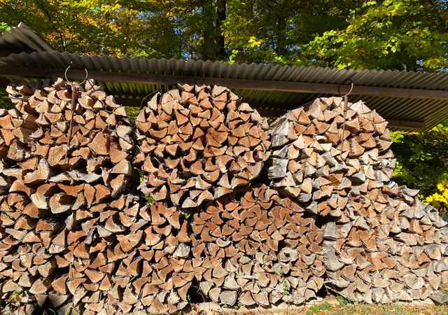 Energie-bois Suisse : Abandonner l'utilisation du bois ? Avons-nous vraiment besoin du bois-énergie ?