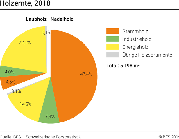 Schweizerische Forststatistik 2018: Grosse Holzernte 2018 wegen Borkenkäfern, Trockenheit und Stürmen