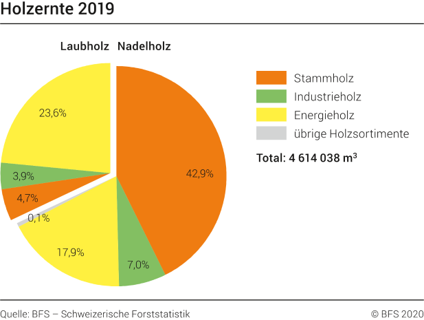 Schweizerische Forststatistik 2019: Holzernte 2019 um 11% tiefer als im aussergewöhnlich guten Vorjahr